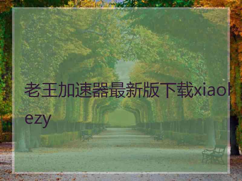 老王加速器最新版下载xiaolezy
